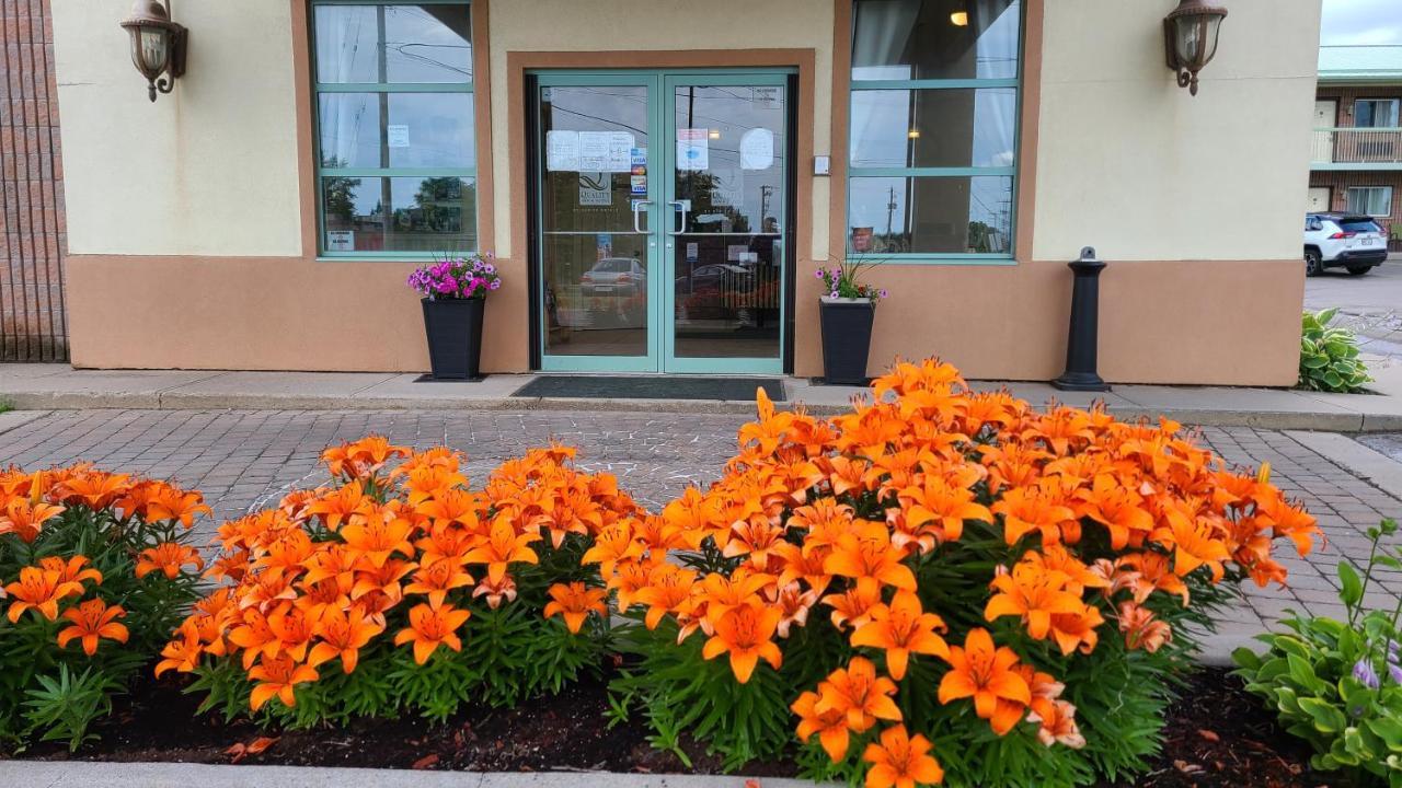 Quality Inn & Suites 1000 Islands Гананок Екстериор снимка